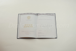 Магистр 2014-2025 Магистр 2014-2025