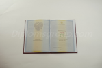 Магистр 2009-2011 Магистр 2009-2011