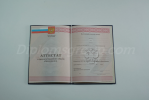 Аттестат 11 классов 2010-2013 Аттестат 11 классов 2010-2013